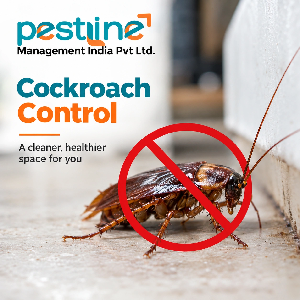 Cockroach control in Lucknow